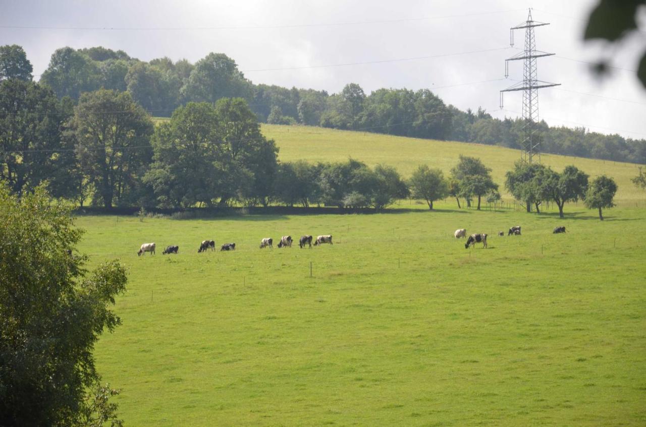 Ferienwohnungen Hof Heiderich Oberzent Extérieur photo
